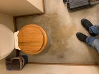 Photo May 26 2025, 11 45 23 AM.jpg