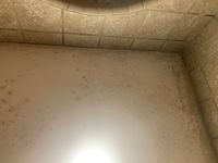 Photo Jul 08 2025, 5 29 05 PM.jpg