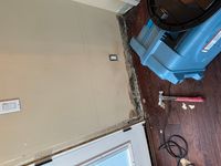 Photo May 27 2025, 11 29 00 AM.jpg