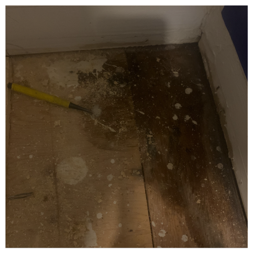 WATER DAMAGE