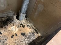 Photo May 16 2025, 1 02 09 PM.jpg