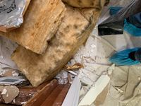 Photo May 25 2025, 8 30 25 PM.jpg