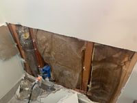 Photo Apr 25 2025, 11 12 44 AM.jpg