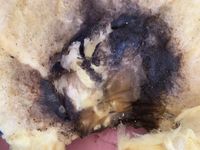 Photo Apr 02 2025, 11 05 18 AM.jpg