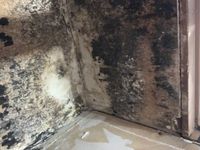 Photo May 16 2025, 1 01 57 PM.jpg