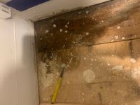 Photo Apr 29 2025, 1 26 17 PM.jpg