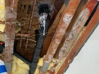 Photo Apr 02 2025, 11 46 31 AM.jpg