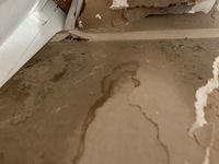 Photo May 25 2025, 8 20 37 PM.jpg