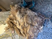 Photo May 16 2025, 1 22 00 PM.jpg