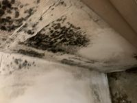 Photo Jun 13 2025, 12 47 05 PM.jpg