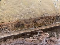 Photo Jul 04 2025, 5 28 45 PM.jpg