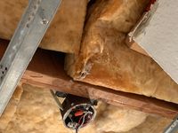 Photo May 25 2025, 8 20 42 PM.jpg