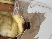 Photo Apr 02 2025, 11 00 21 AM.jpg