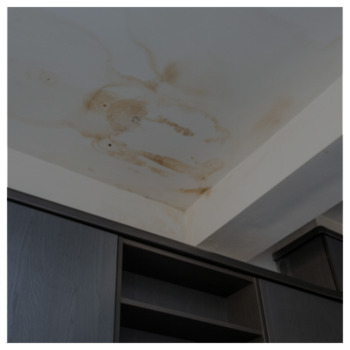 roof leak restoration. 