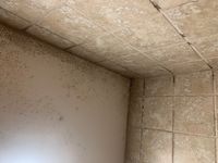 Photo Jul 08 2025, 5 29 09 PM.jpg