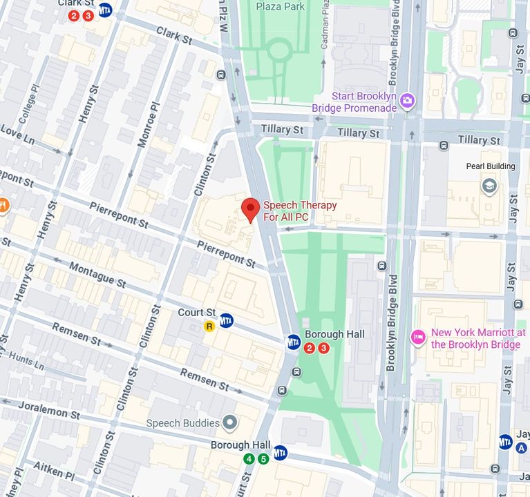 brooklyn map.jpg