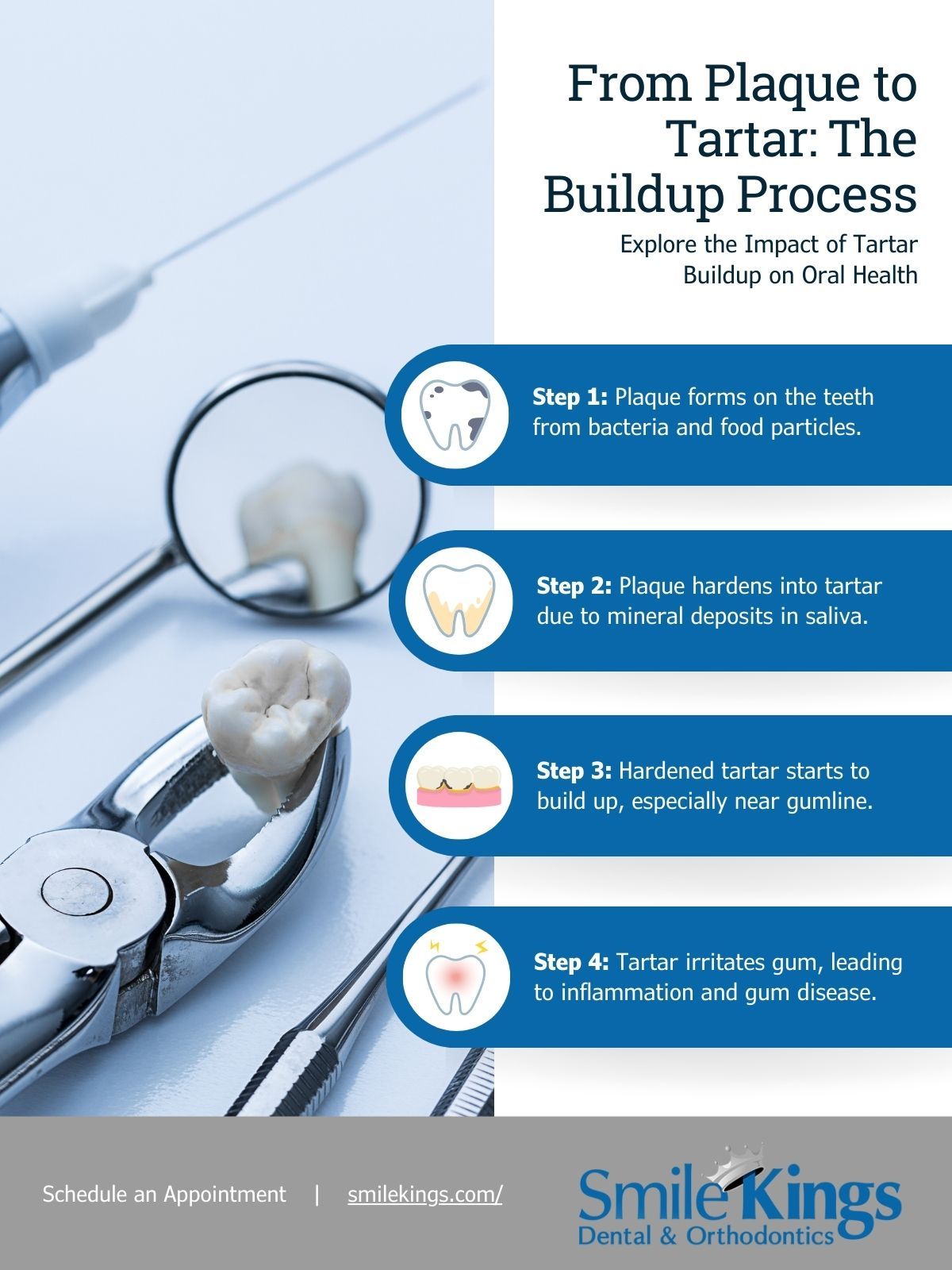 M38685 - Infographic - From Plaque to Tartar The Buildup Process.jpg