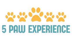 M336613 - 5 Star Experience.png
