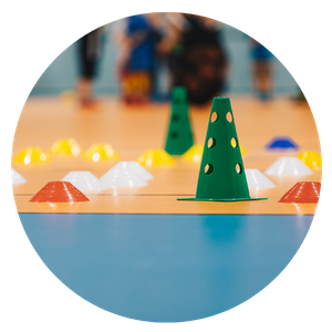 Curiculum - Icon 8.png