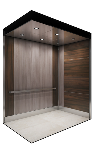 Ironwood removebg-preview.png