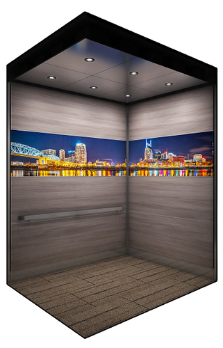 Ficus Image_Change_-option_1-removebg-preview.png