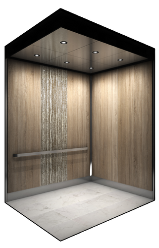 Golden Fir 6855_S._Havana_--2-removebg-preview.png