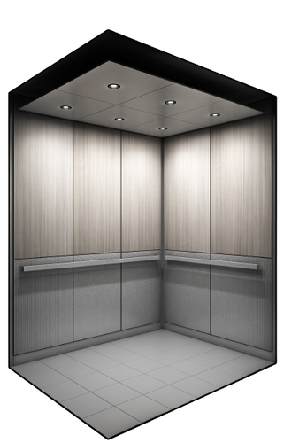 Desert Palm-rendering.png