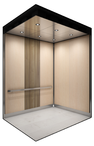 Golden Fir_B-removebg-preview.png