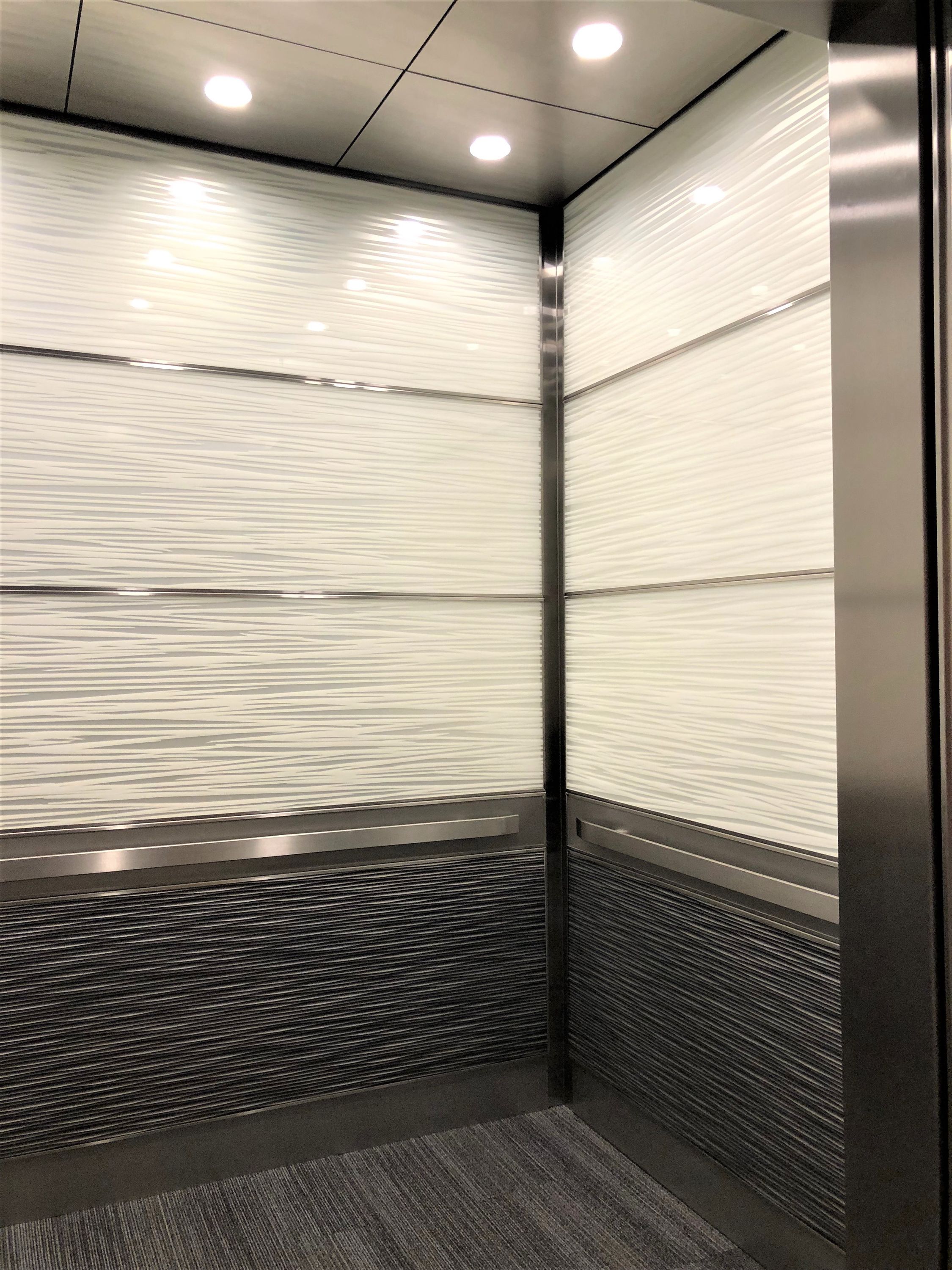 Ficus Martingale A.jpg