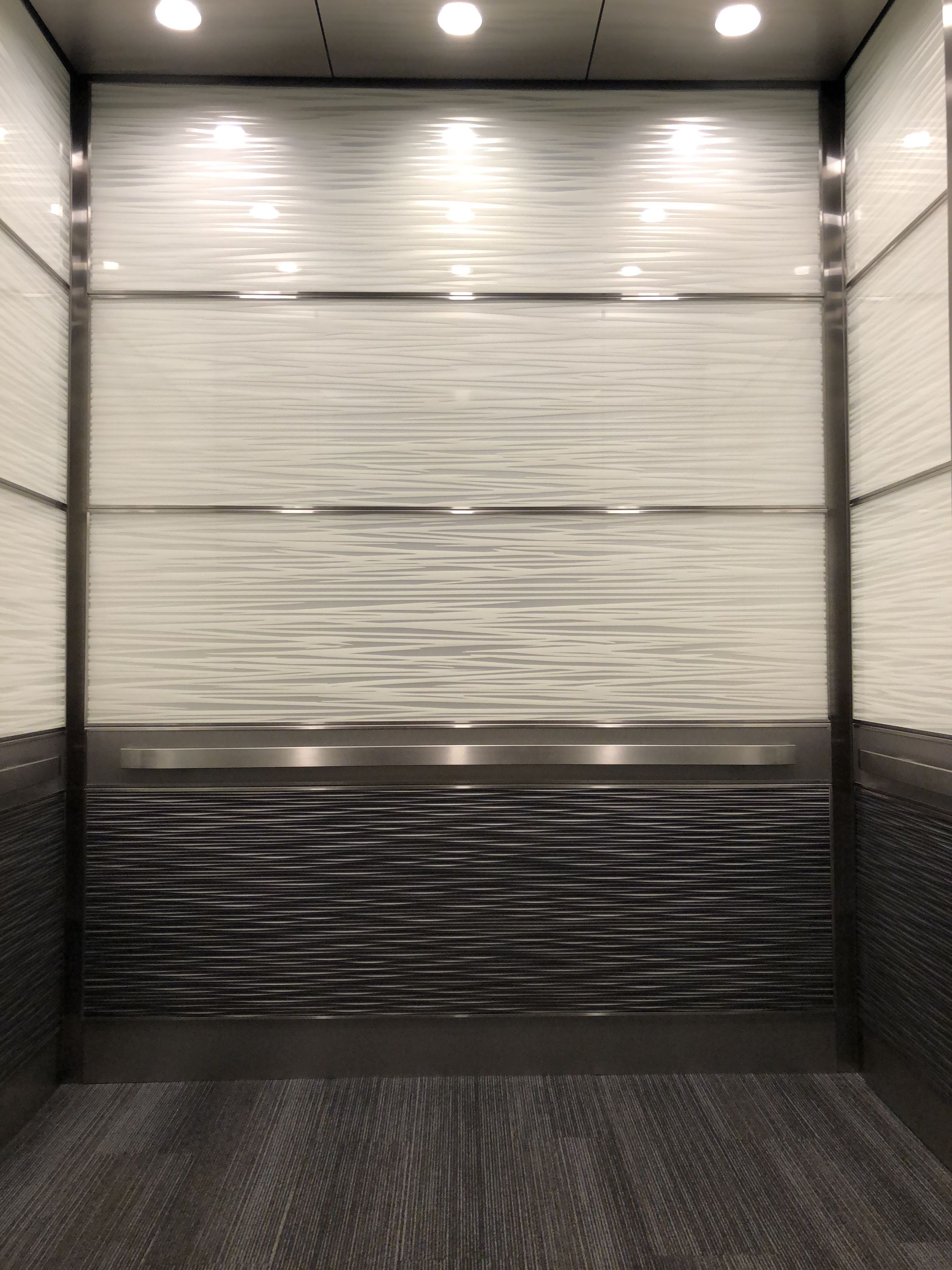 Ficus - 200 Martingale2.JPG