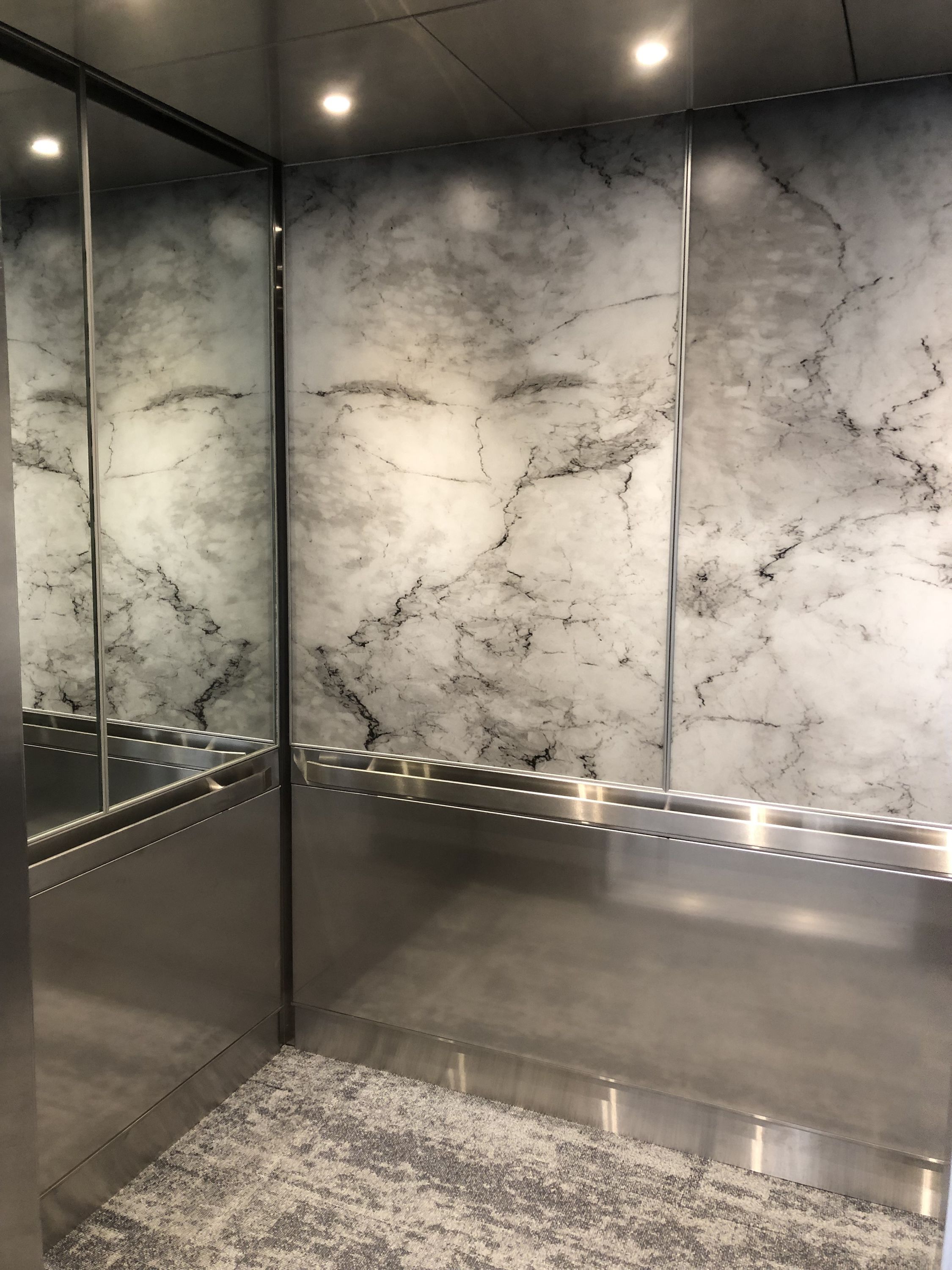 Desert Palm CCIG B2.jpg