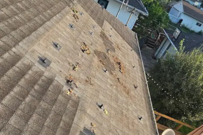 Untitled design (3).png