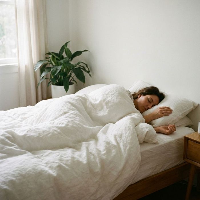 A peaceful scene of a person sleeping soundly in a comfortable, calm bedroom environment.