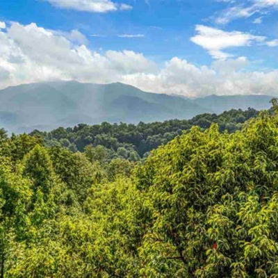 View of The Great Smoky Mountain National Park