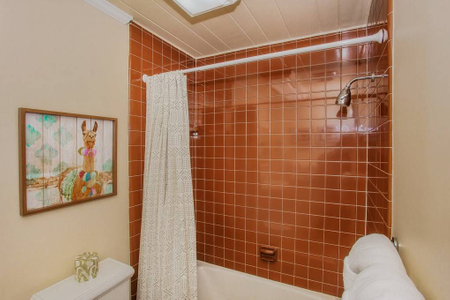 Downstairs shower and tub