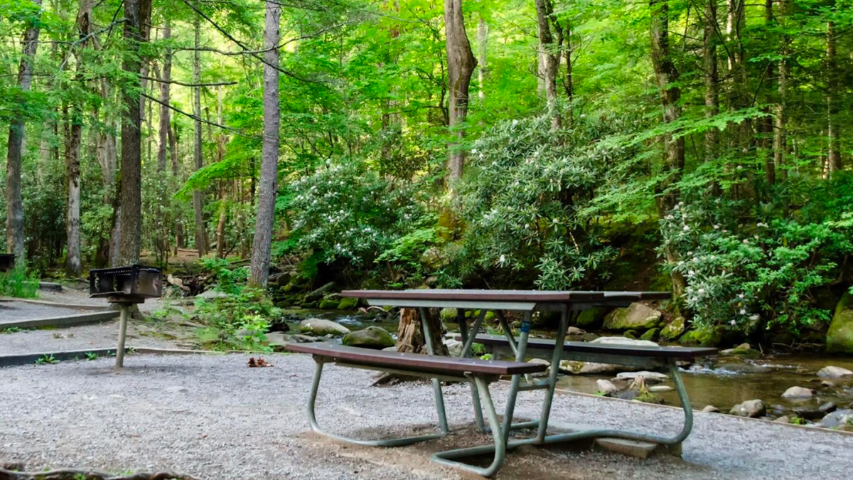 Cades Cove Picnic Area.png