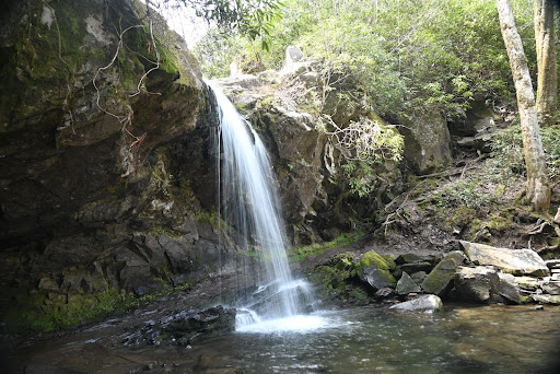 waterfall.jpg