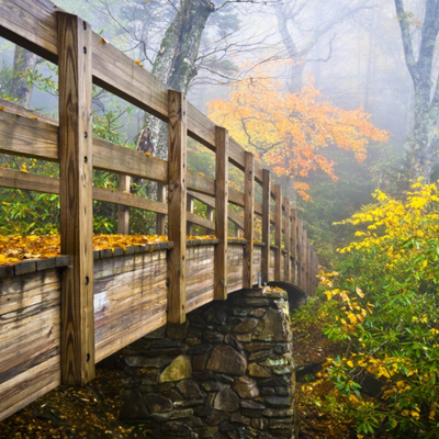 Bridge with fall leaves