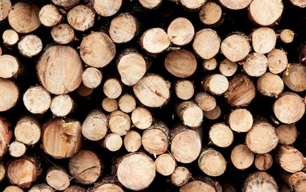 Sawmill 1.jpg
