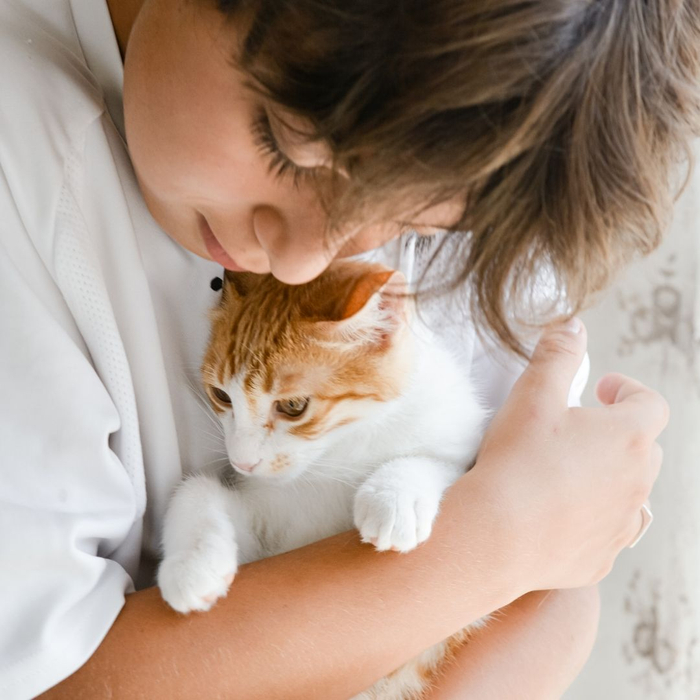 boy holding a cat