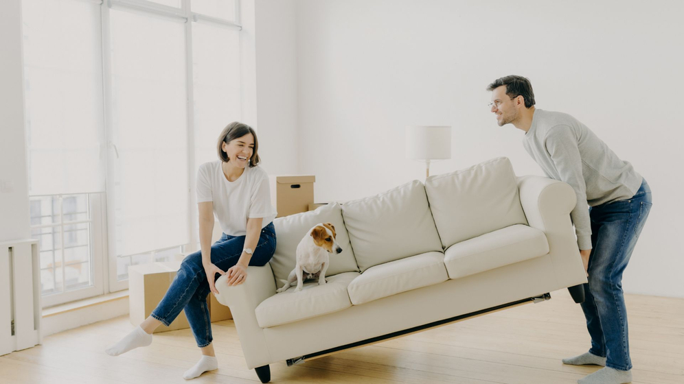 moving a couch with a dog on it