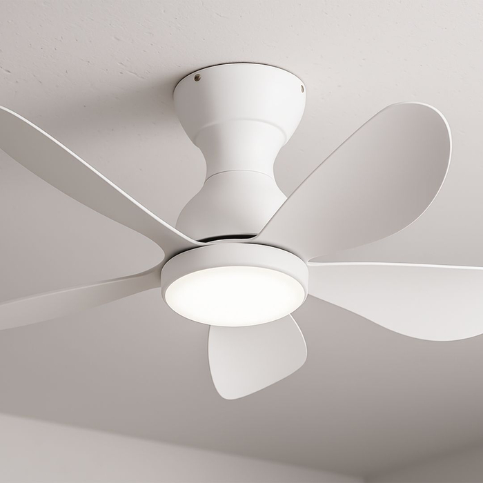 ceiling fan