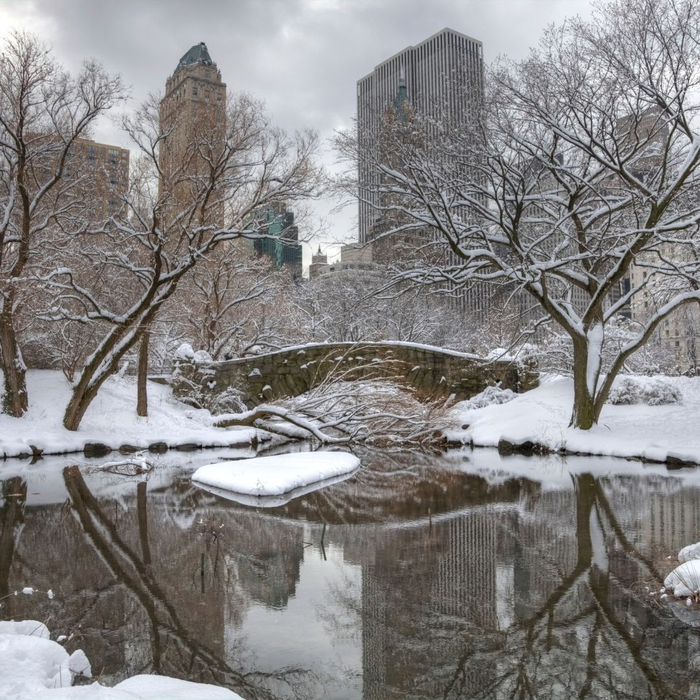 Bridge in the snow in the city