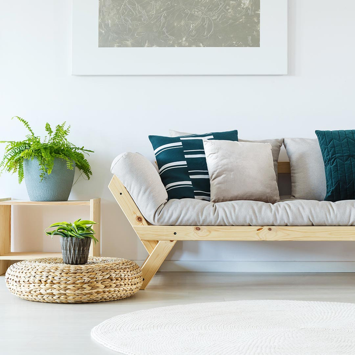 Living room with potted plants