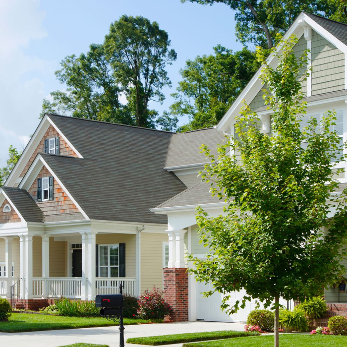 Houses with green trees