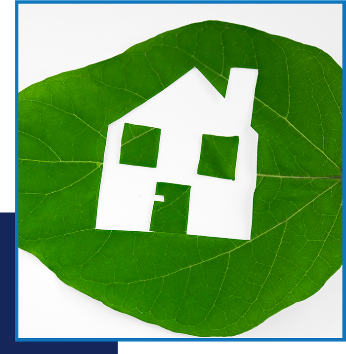 House icon on leaf