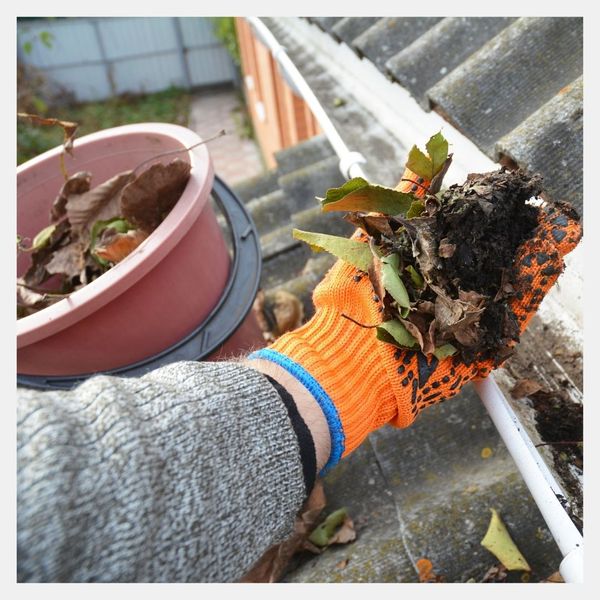 cleaning gutters