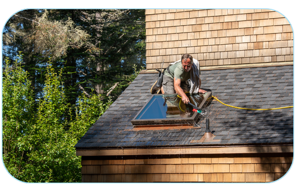 professional roof cleaner