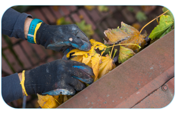 Gutter-Cleaning-Bothell-1.png