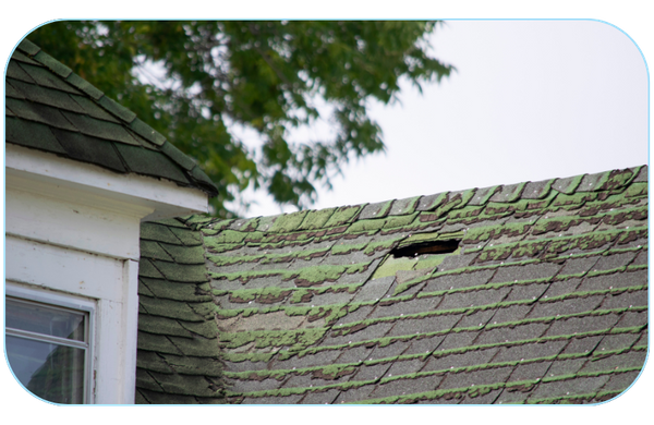 mossy roof